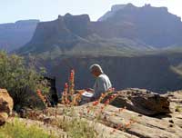 Photo of Serena Supplee